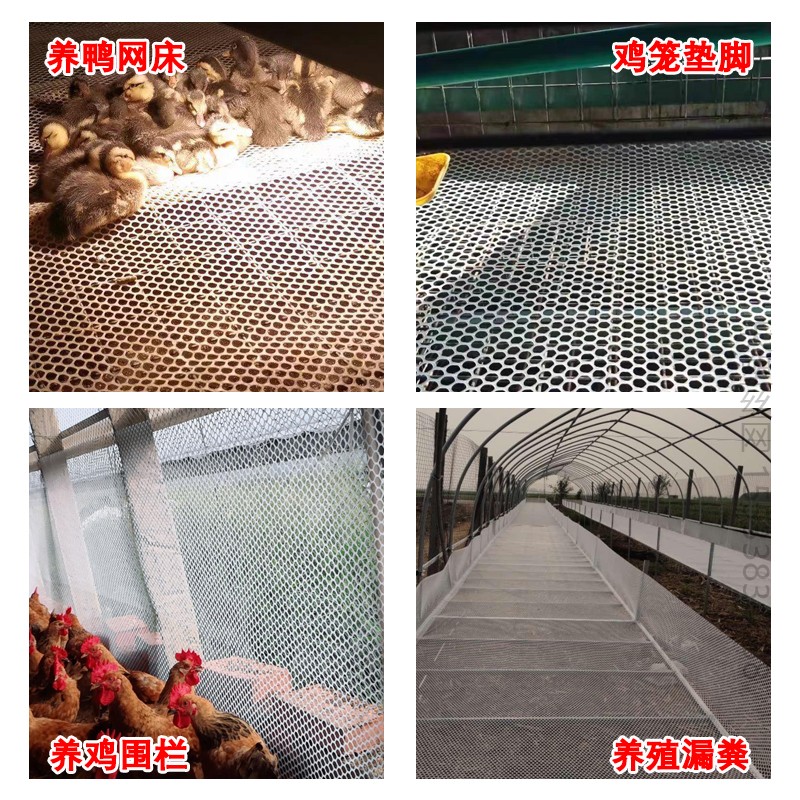 加厚塑料平网养殖养鸡专用鸡鸭鹅围养脚垫鸡舍漏粪鸡笼垫育雏网床