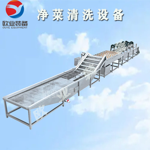 厨房配套净菜风干设备 小白菜净菜清洗设备 涡流式净菜清洗机