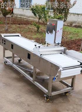 连续 式切翅肥肠段机UNU鸭切半机鸭翅分切机 黑鱼切段机 率 高