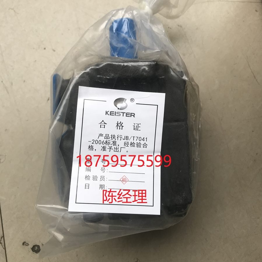 ER低噪凯斯特V2V21RR-FP1-FP--油泵凯斯特KE音叶片泵  RRSTI 2123