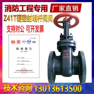 Z41T-16铸铁硬密封法兰明杆闸阀HT200 DN40 50 65 80 100 125 150