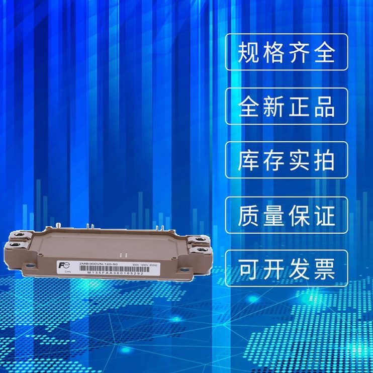X6050全新2EMB-可控硅模块VVII0IGBT模块50MB  120-6002N120--A