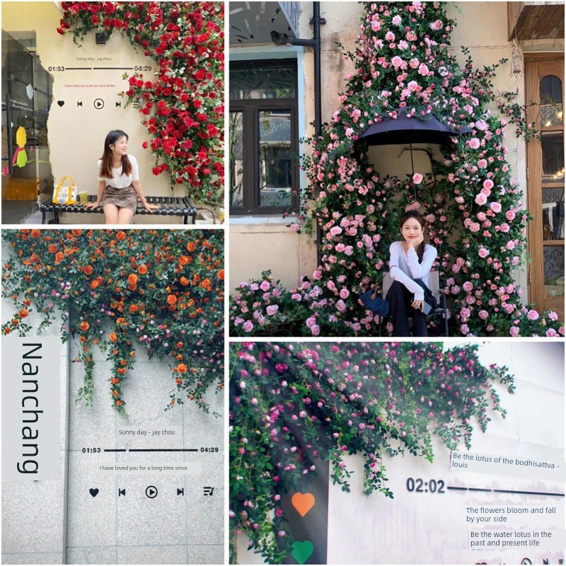 模拟玫瑰藤网红照片p入住背景墙景区民宿门景观窗阳台装修