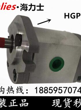 RR-F1AHG.1R FR1R7 FR1齿轮泵 -R6 F F FF4 508 FR.3.3RPR682. F