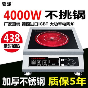 骆派 家用电陶炉4000W平面3500瓦商用5J000瓦爆炒不挑锅定时光波