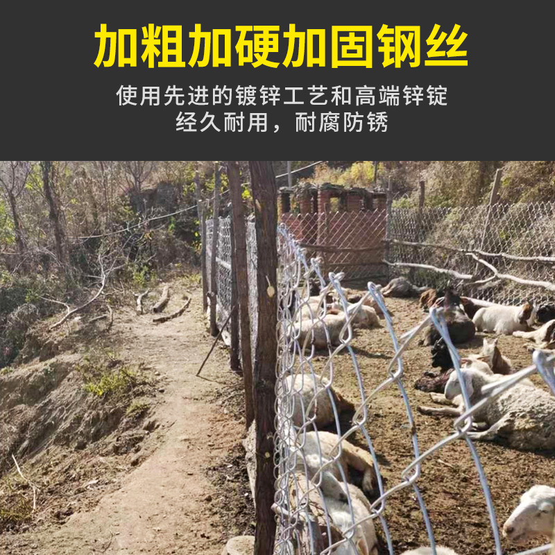 热镀锌铁丝网围栏护栏网勾花网户外养殖钢丝网果园防护网栅栏狗笼