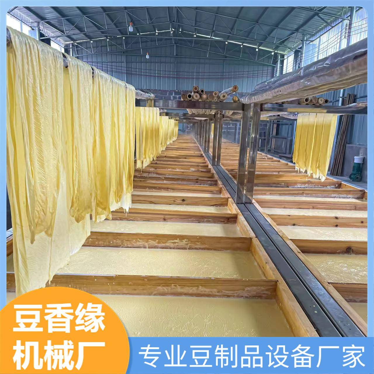 半自动腐竹机 日产400斤手工揭皮腐竹生产线 小型做腐竹设备