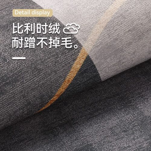 地垫入户门地垫家用客厅简约可裁剪高端垫子玄关进门防滑耐脏脚垫