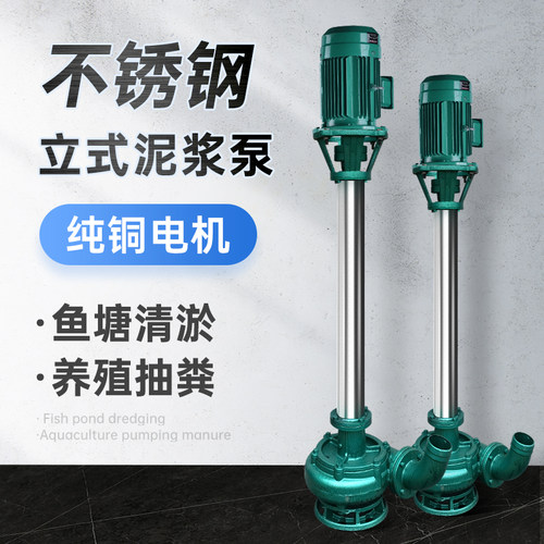 304不锈钢耐腐蚀立式r泥浆泵抽泥沙清淤污水泵抽粪泥浆380V三相