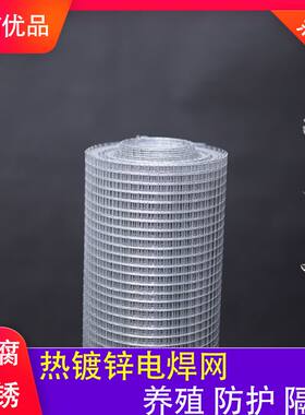 大孔热镀锌电焊网镀锌铁丝网电焊网片养殖网钢丝防护家用圈玉米网