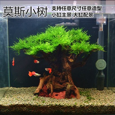 迷你莫斯树造景树沉木水草缸小鱼缸景观小号大树迎客松莫斯水榕树