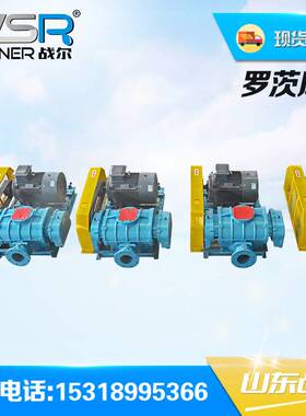 山西 SR65型三叶罗茨鼓风机 污水曝气用曝气机山东战尔机械厂家