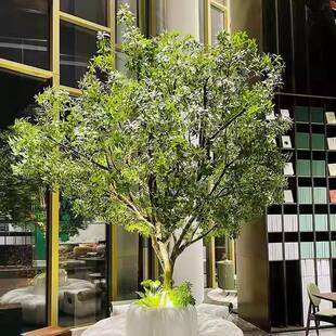 密加马醉木橱窗造景物植树室内高端大型仿真仿生绿植装饰树大型假