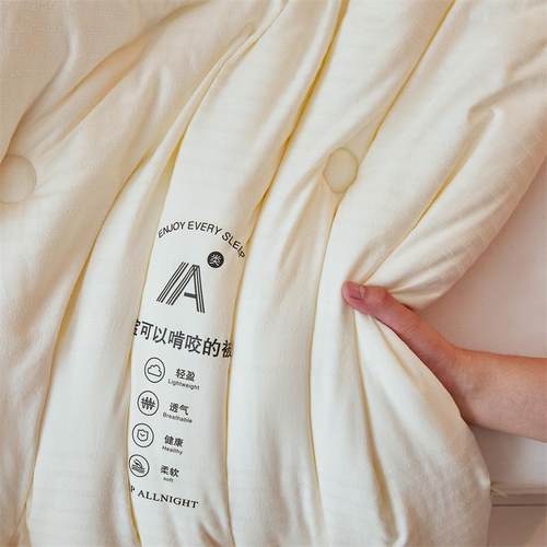 A被类宝宝可啃棉咬大豆纤维被子冬被YJ-20240保暖芯被春秋单人学