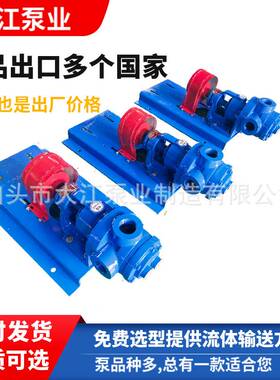NYP-50高粘度齿轮泵自吸高温树脂聚醚石蜡原料稠泵 高粘度齿轮泵
