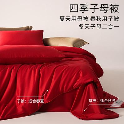 蚕被母被二合丝一拉链100春桑蚕丝子秋被芯双忆红结婚加厚冬被婚