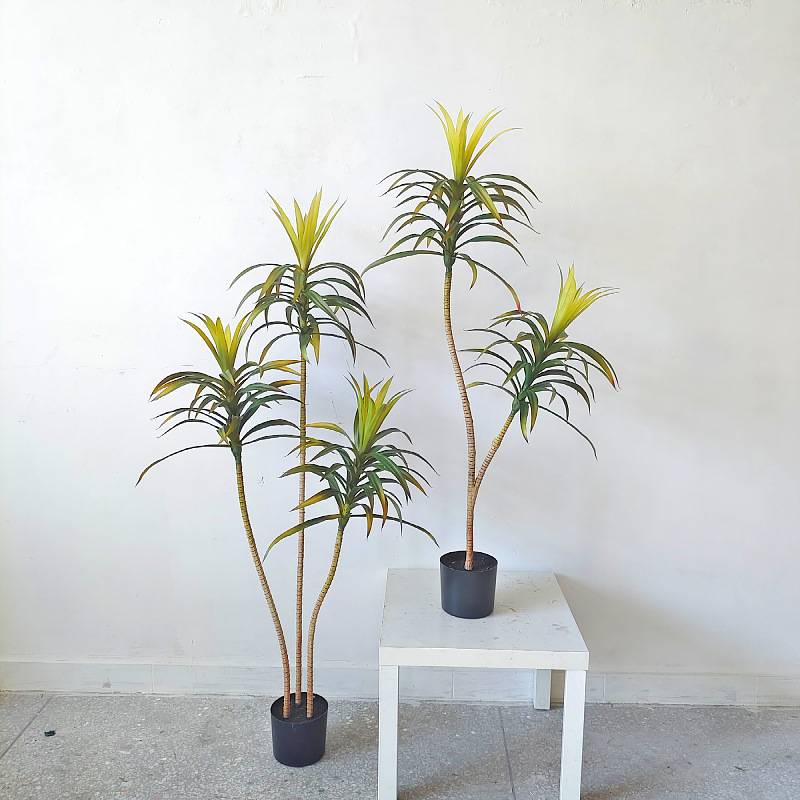常青仿真植物装饰假绿植盆栽摆件 软装新款仿真狭叶龙舌兰 丝兰树