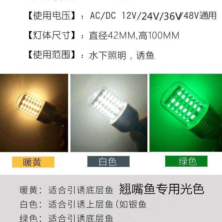 新跨境货源款绿光LED集鱼LED0W水0W2抄网筏钓诱鱼灯1V下灯