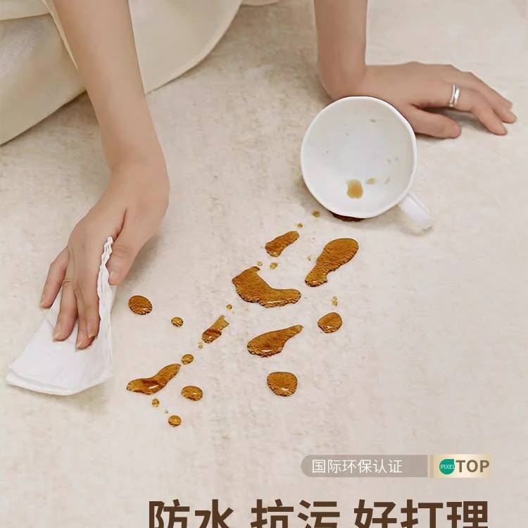 床边地毯女孩卧室2025新款房间可擦洗免打理不规则地垫大面积