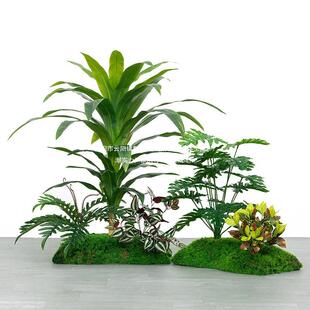 绿苔植造景室内景观造景BFF橱窗场景布置藓假植假装饰物楼梯下树