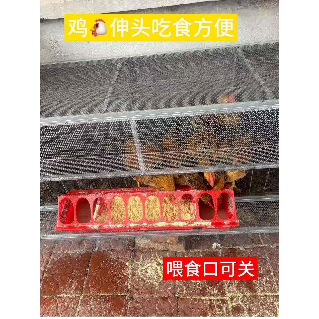 家折叠人鸭笼号SYF加9厚091用户外收兔笼藏笼养大殖设备鸡笼家用