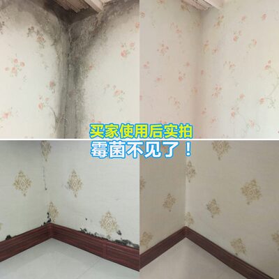 霉菌点除霉剂壁纸霉斑墙布发霉清除剂霉清洁剂墙纸墙体去霉斑墙面