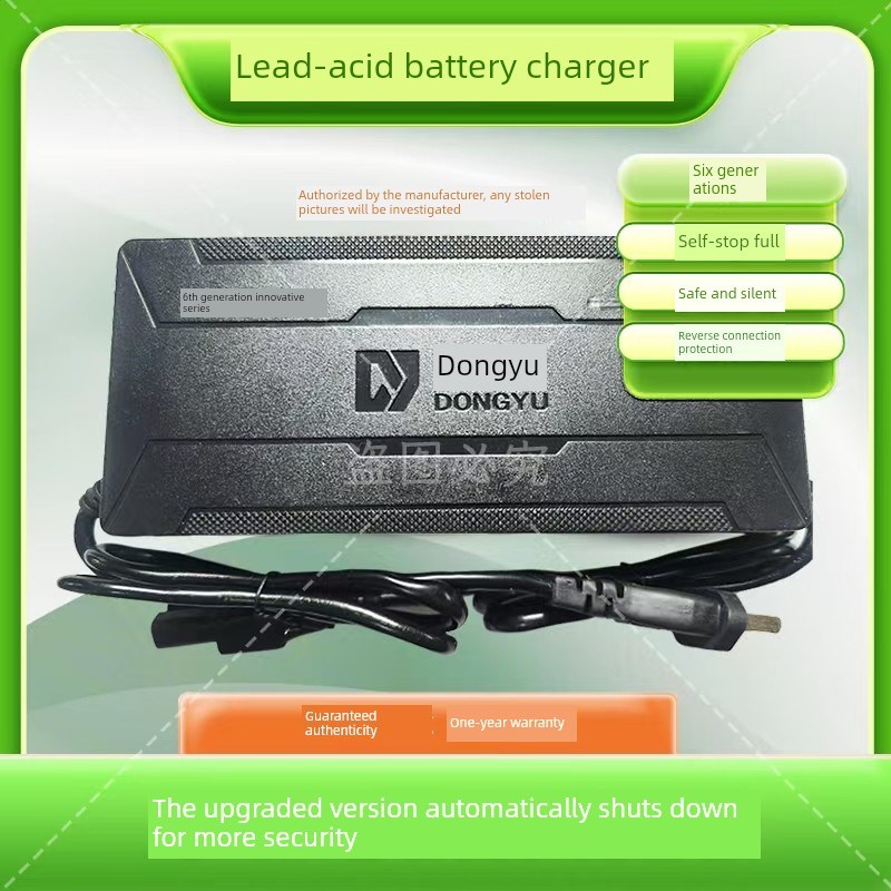 东宇电动车载充电器48vV60V72V自动关机充电器充满