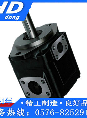 DENISON丹尼逊T6E-042 045 050 052 057-1R011R02-A1 B1 C1叶片泵