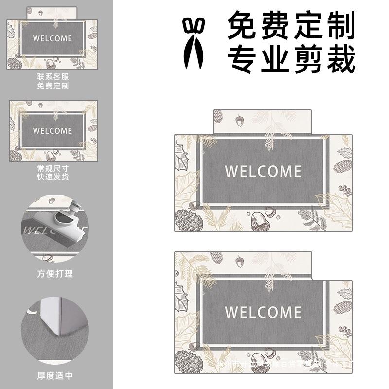 轻客奢现代家用垫进门垫口地ltao7147入户门防滑脚垫子门厅厅踩脚