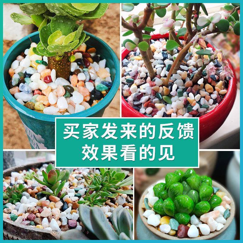 天然五彩花石小石子多肉铺鱼缸造装景花面盆花卉装饰651白庭院铺