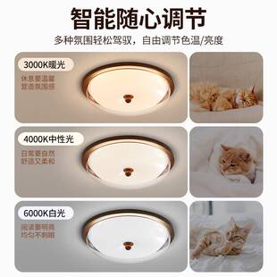 卧室吸顶灯2026新款中古风胡桃木书房灯复古简约主卧室房间灯L263