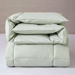 水洗棉冬22158被云被朵棉保暖羽棉丝被子秋芯褥子加厚单人宿舍春