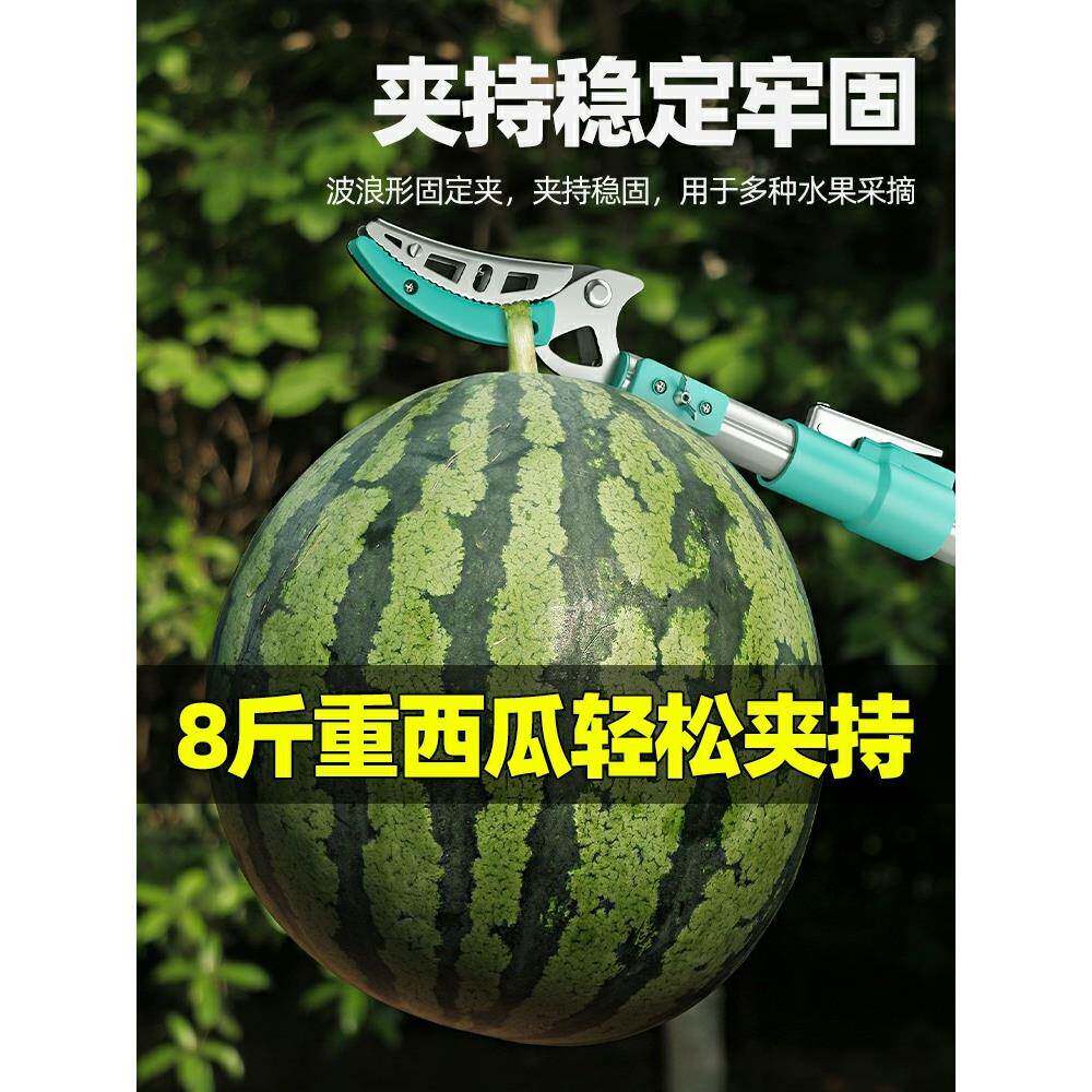摘酸枣采摘水高果695荔杆枝芒果龙眼伸缩空果树剪修剪高枝剪
