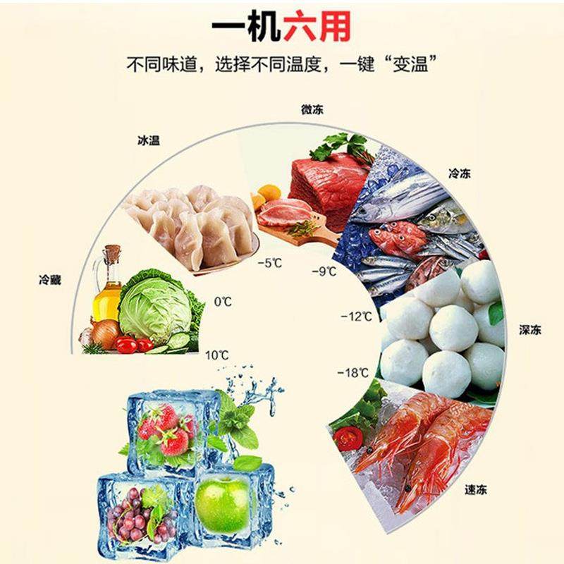 冰柜商用大59容量温卧冷藏冷冻铜管速冻冰箱家用单温双雪柜冷式柜