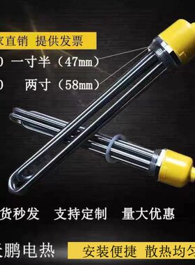 8不锈钢电热导热油电热0锅炉管220加热管工程DN50水箱大功率VV3管
