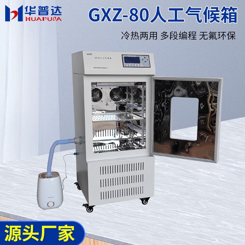 GXZ-80人工气候箱实验室植物种子催芽箱电热恒温恒湿光照培养箱