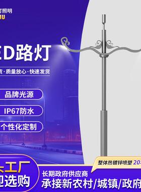 景观灯led单双臂高杆灯市电新农村户外照明灯带广场球场高亮路灯