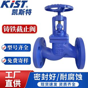 DIN德标不锈钢密封截止阀J41H-16铸铁截止阀蒸汽阀手动法兰截止阀