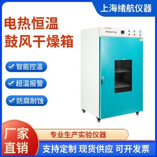鼓风干燥箱DHG 电热恒温热风循环干燥箱 9620A高温数显烘干箱立式
