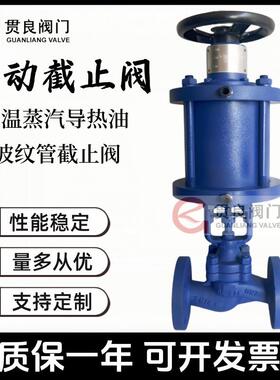 气动波纹管截止阀WJ641H-16C/25C铸钢法兰高温蒸汽导热油非标