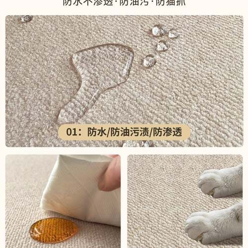 进10034497新款门口入户门2高025垫防门滑耐脏入脚门家用玄关地垫