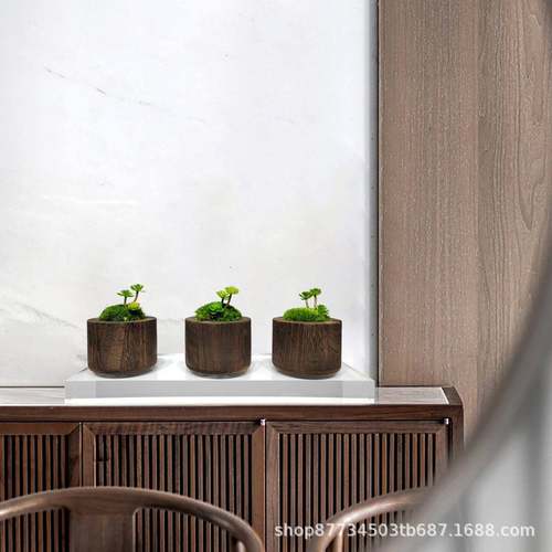 新中式实木花洽器永生苔藓绿植盆景室内客床头小柜谈桌912厅软装