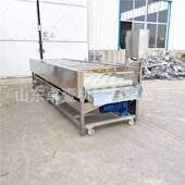 扇贝生蚝毛辊清洗机海鲜清洗除杂设备贝壳类海鲜小龙虾毛刷清洗机