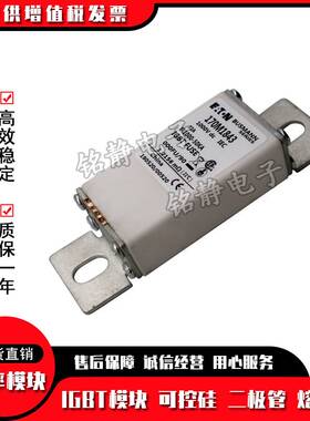 170M1827 170M1828 170M1829 170M1830巴斯曼熔断器现货170M1831
