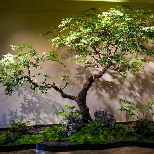 仿水真鸡爪树槭绿枫枯山景898989观假植店物室内楼梯橱窗造景饭仿