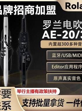 olVTAan中电R吹管乐器AE20老年人娱乐初学AE30电子萨克d斯葫芦丝