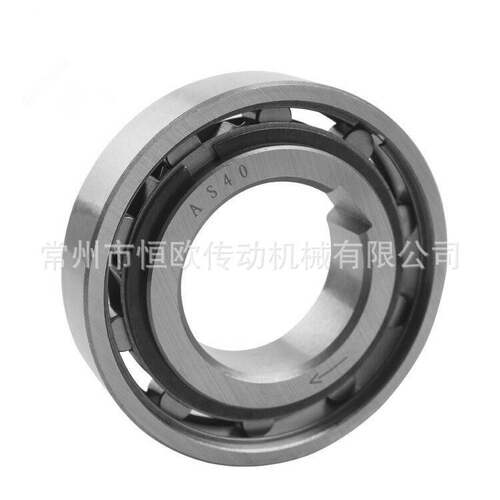 滚柱式单向离合器 AS6 AS8 AS10 AS12 AS15 AS20 AS25 AS30