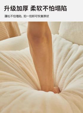 玉桂狗懒人沙可折叠人类狗窝巨大阳台房间AFX一客厅沙发两发床体