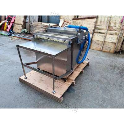 花卉蔬菜穴盘育苗机 全自动穴盘播种机 电动不锈钢育苗播种机