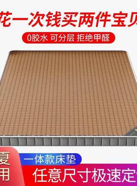 环硬床垫椰棕童棕垫铺保底冬夏JWG两用老人夏季儿双面棕偏榈单人